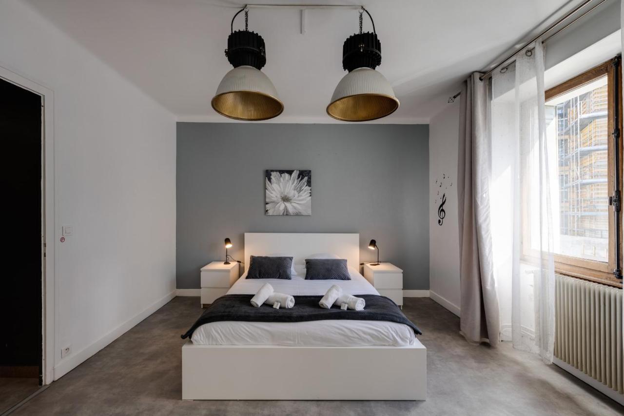 Les Capucins - 3 Bedroom Apartment Near The City آنسي المظهر الخارجي الصورة